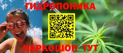 индика Среднеуральск