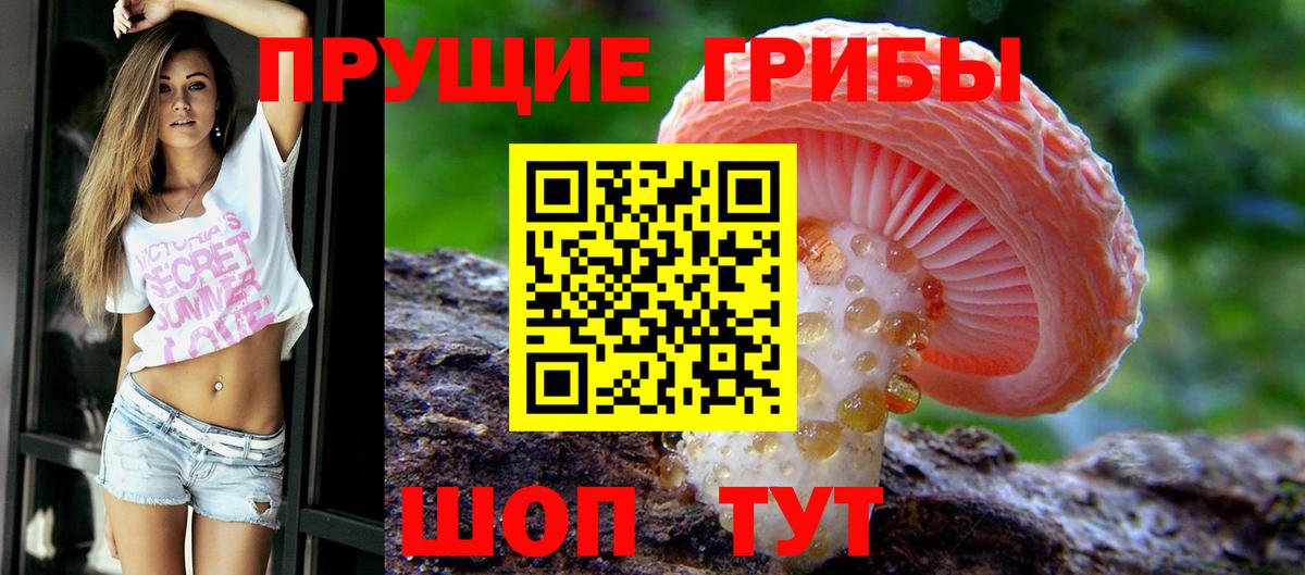 Новоуральск  Псилоцибиновые грибы ЛСД  хочу наркоту  Вход с VPN 